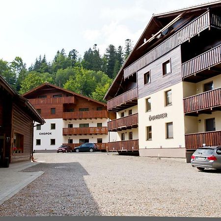 Apartman Chopok Juh Anka Horna Lehota Exterior photo